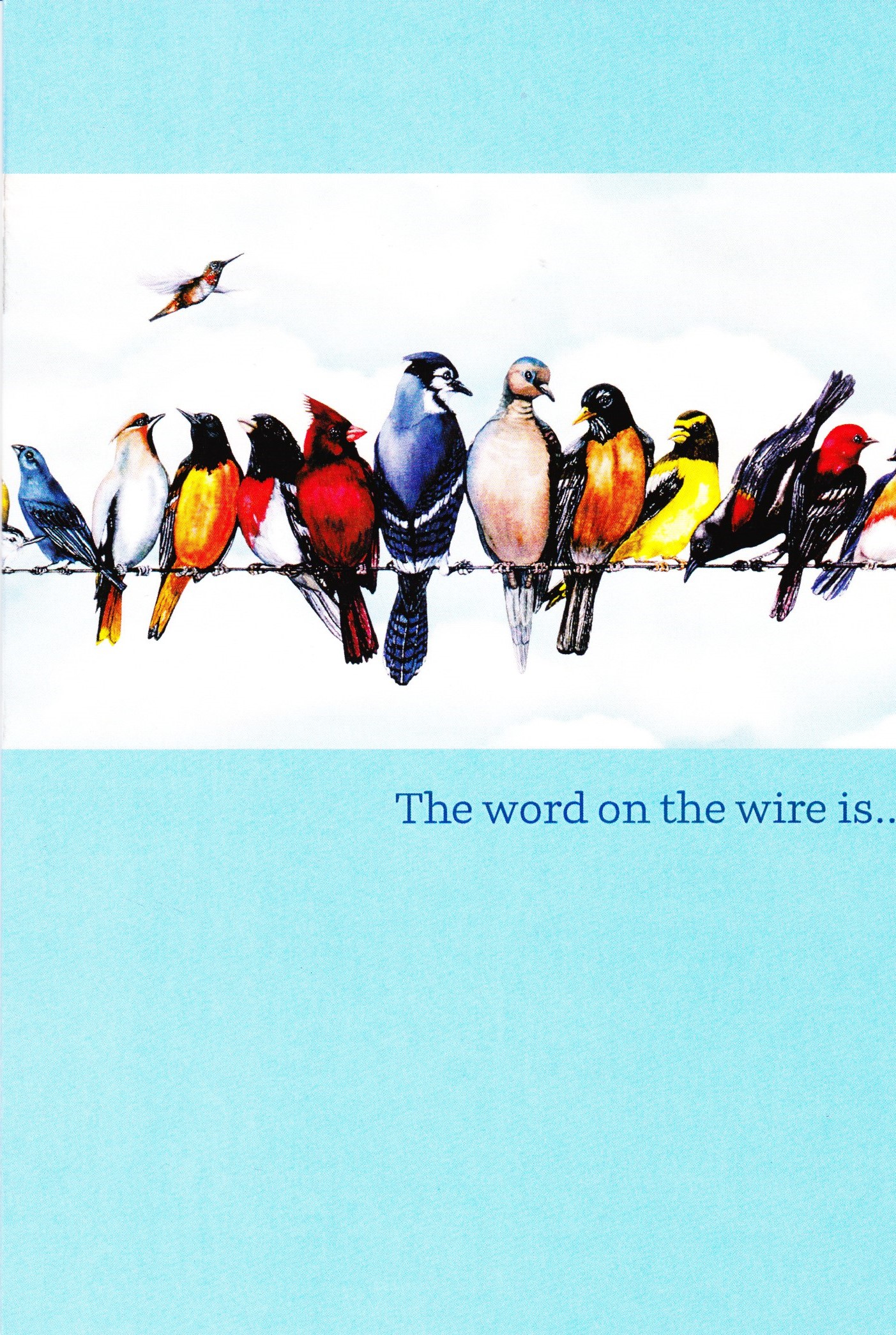 Bird on the Wire Card